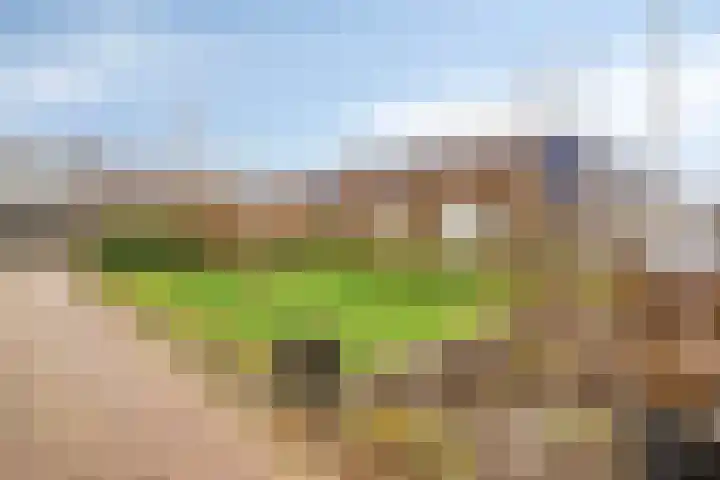Zuilestein 8 Leiderdorp thumbnail 46