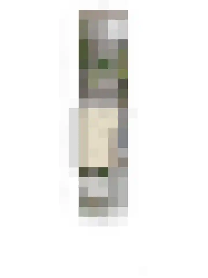 Zuilestein 8 Leiderdorp thumbnail 49