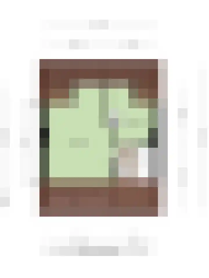 Zuilestein 8 Leiderdorp thumbnail 52