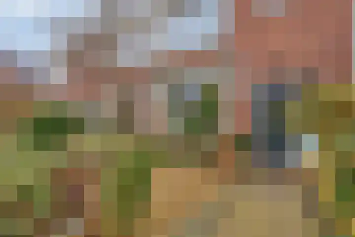 Zuilestein 8 Leiderdorp thumbnail 9