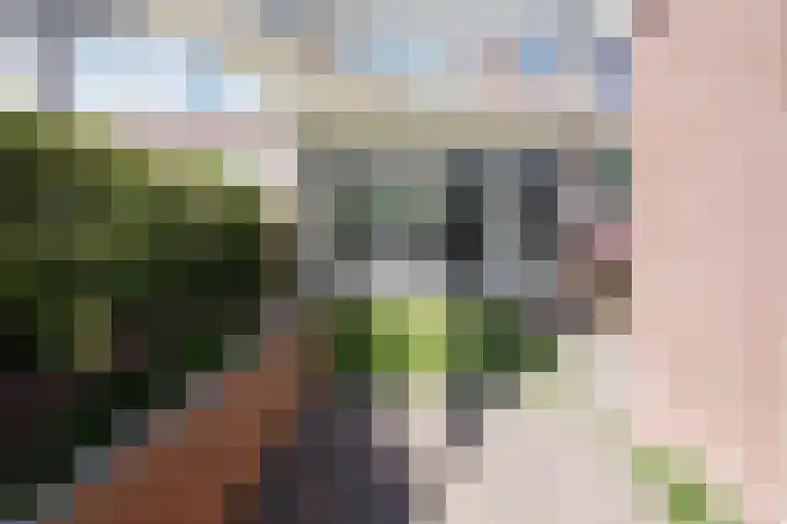 Zuilestein 9 Leiderdorp thumbnail 15