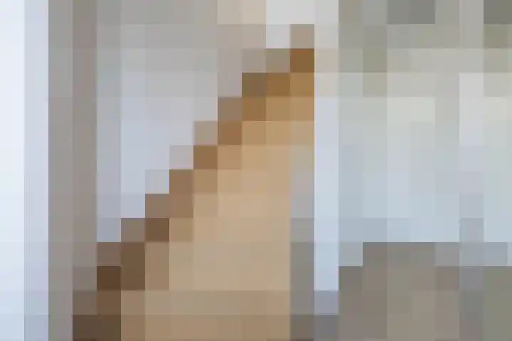 Zuilestein 9 Leiderdorp thumbnail 23
