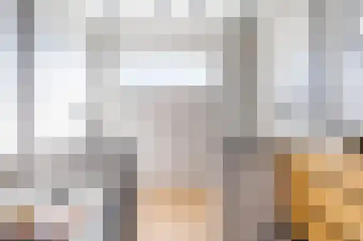 Zuilestein 9 Leiderdorp thumbnail 30