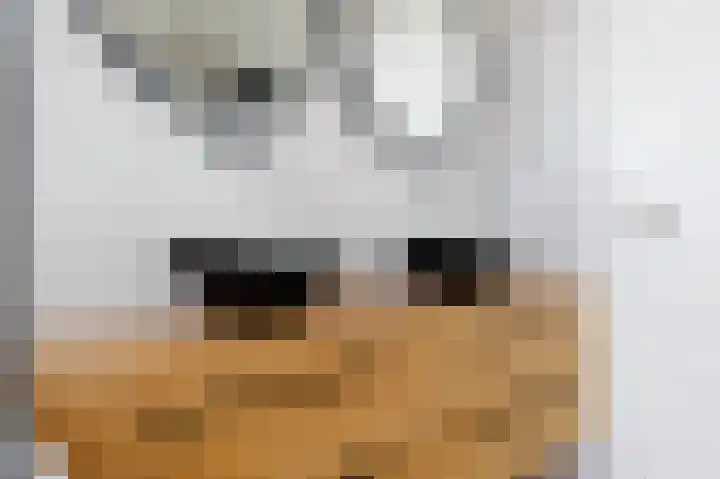 Zuilestein 9 Leiderdorp thumbnail 33