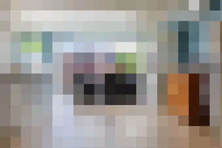 Zuilestein 9 Leiderdorp thumbnail 4