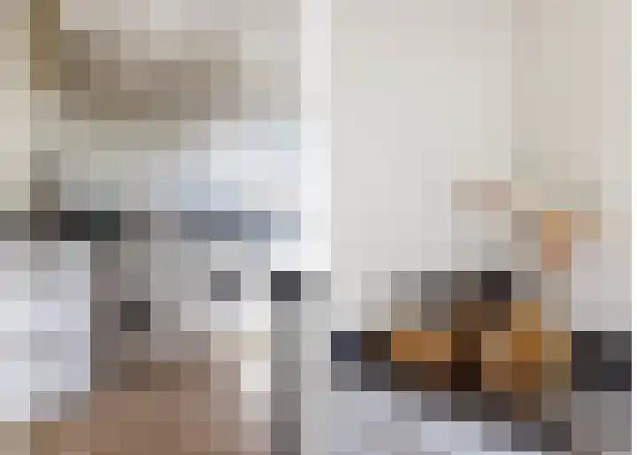 Zuilestein 9 Leiderdorp thumbnail 7