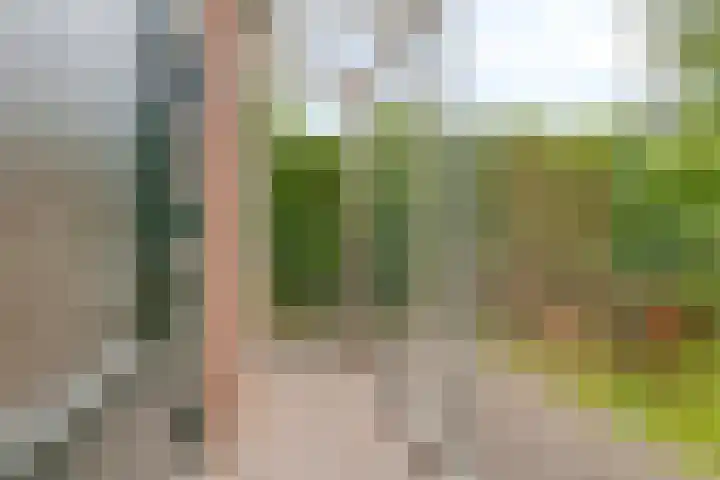 Zuivelhof 12 Warder thumbnail 16