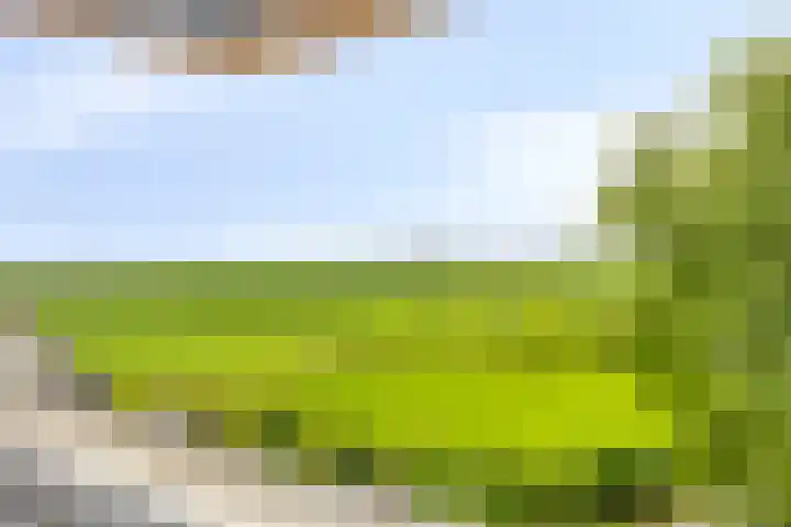 Zuivelhof 12 Warder thumbnail 28