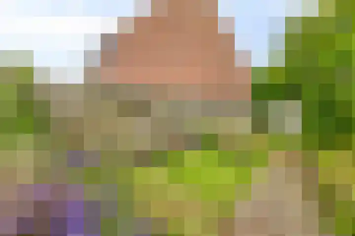 Zuivelhof 12 Warder thumbnail 30
