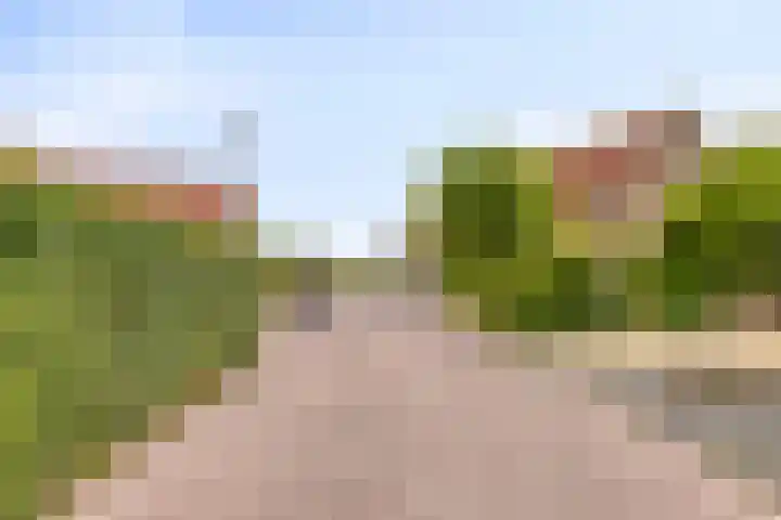 Zuivelhof 12 Warder thumbnail 34