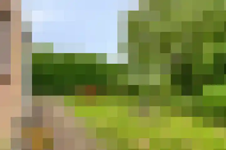 Zuivelhof 12 Warder thumbnail 6