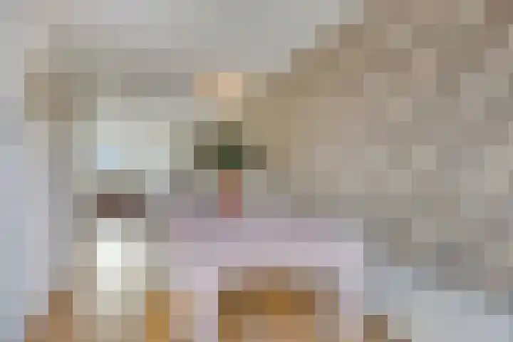 Zuivelhof 2 Eefde thumbnail 11