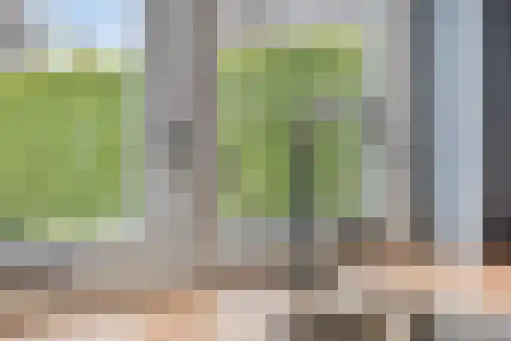 Zuivelhof 2 Eefde thumbnail 14