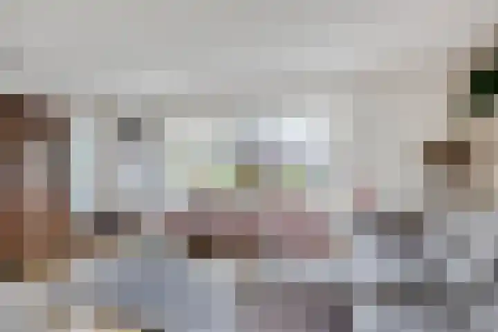 Zuivelhof 2 Eefde foto 2