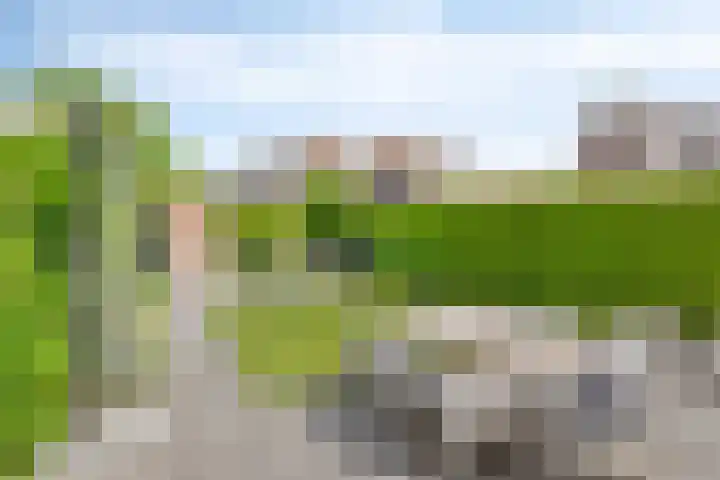 Zuivelhof 2 Eefde thumbnail 23