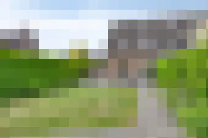 Zuivelhof 2 Eefde thumbnail 25