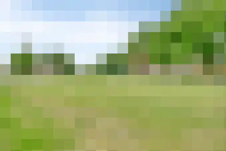Zuivelhof 2 Eefde thumbnail 27