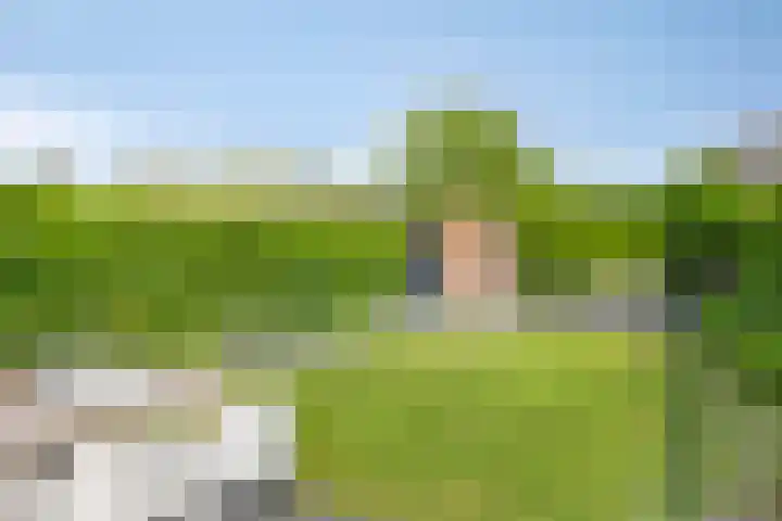 Zuivelhof 2 Eefde foto 3