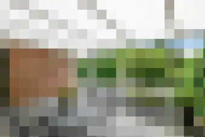 Zülpichhof 19 Elst thumbnail 42