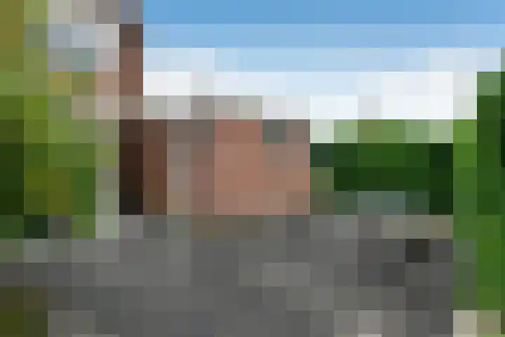 Zülpichhof 19 Elst thumbnail 45