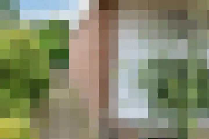 Zülpichhof 19 Elst thumbnail 7