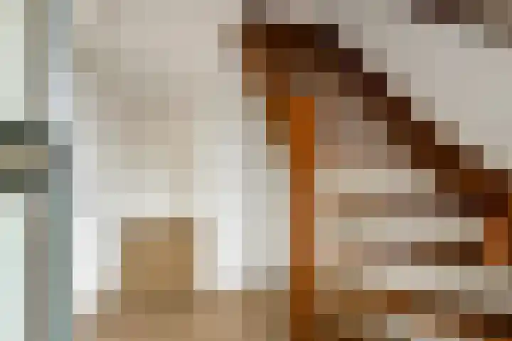 Zülpichhof 19 Elst thumbnail 9