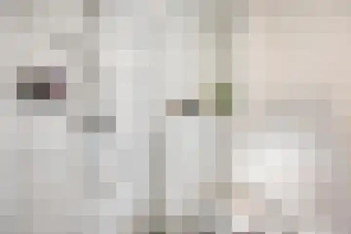 Zustersteeg 2 Heusden thumbnail 17