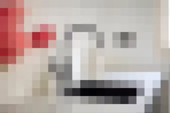 Zustersteeg 2 Heusden thumbnail 8