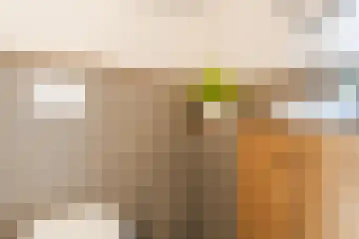 Zustersteeg 4 Heusden thumbnail 10