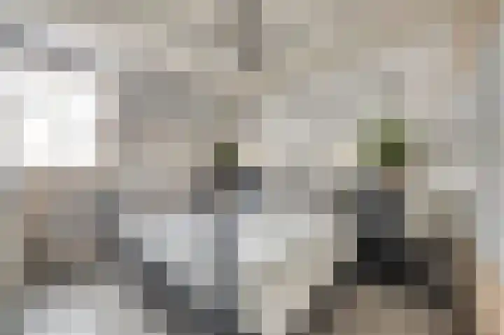 Zustersteeg 4 Heusden thumbnail 18