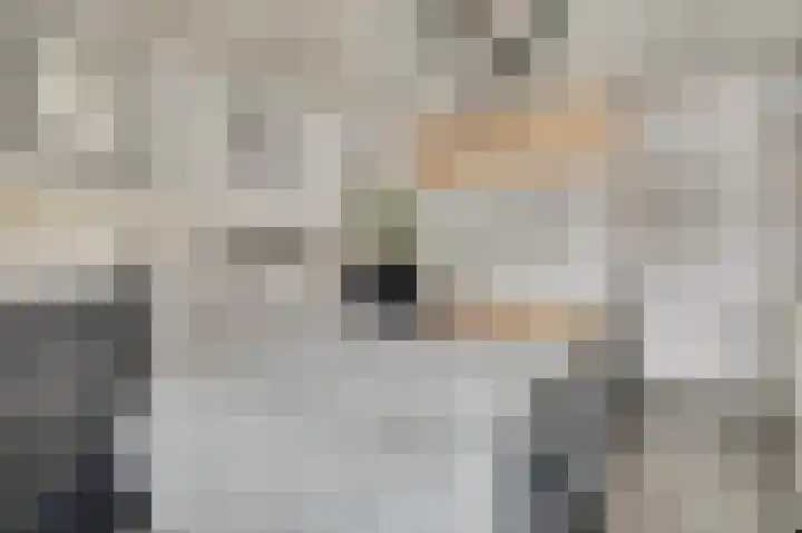 Zustersteeg 4 Heusden thumbnail 19