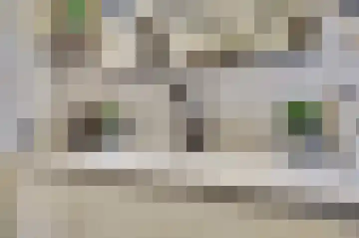 Zustersteeg 4 Heusden thumbnail 22