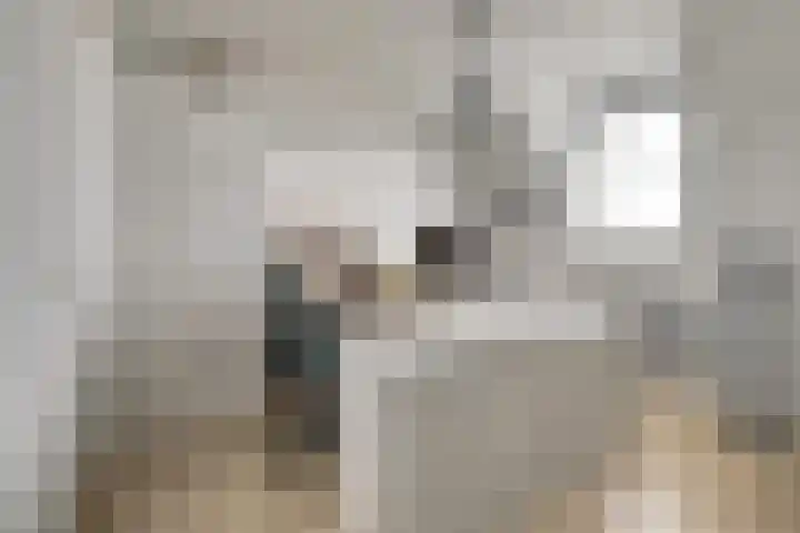 Zustersteeg 4 Heusden thumbnail 23