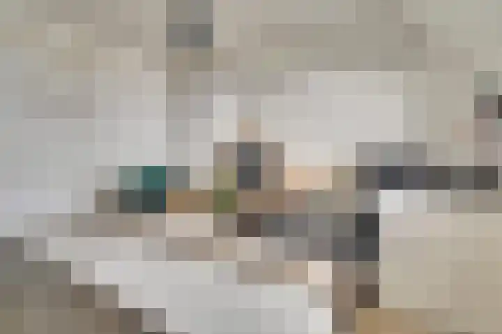 Zustersteeg 4 Heusden thumbnail 24