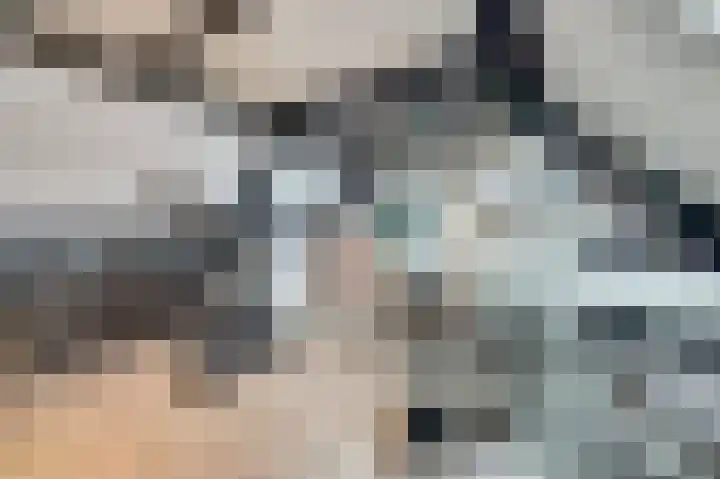 Zustersteeg 4 Heusden thumbnail 28