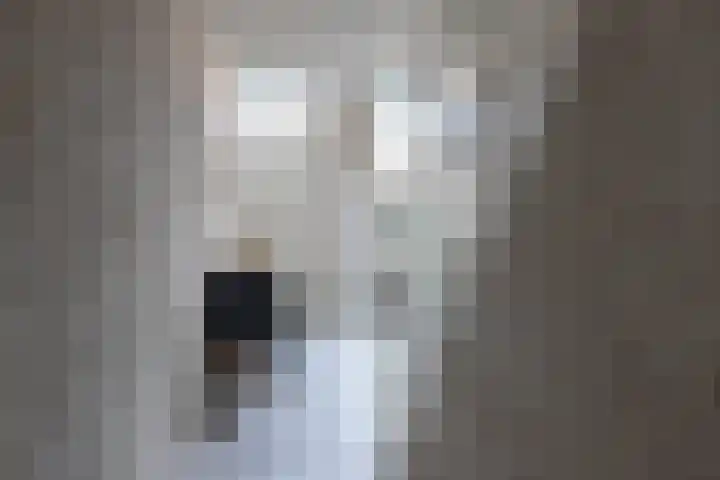Zustersteeg 4 Heusden thumbnail 8