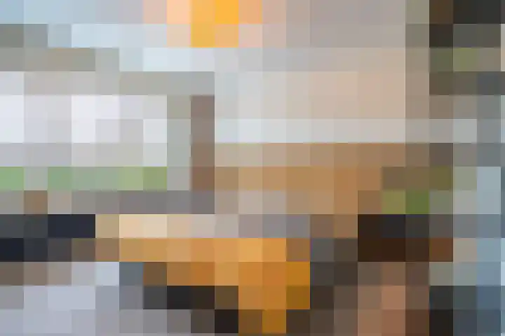 Zustersveld 30 Breda thumbnail 11