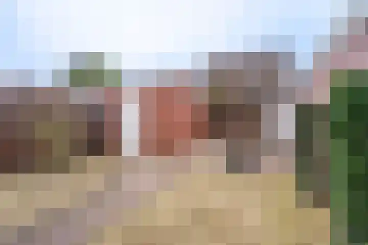 Zustersveld 30 Breda thumbnail 21