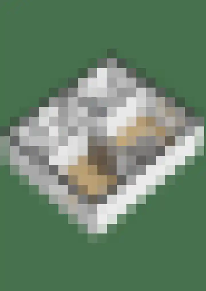 Zustersveld 30 Breda thumbnail 31
