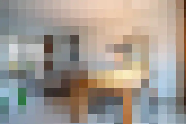 Zustersveld 30 Breda thumbnail 5