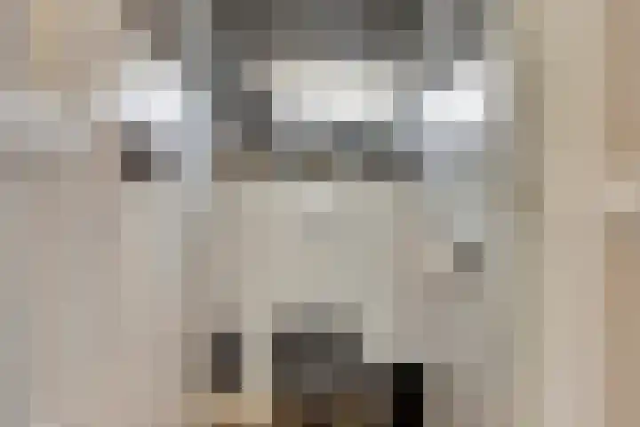 Zutphenseweg 112 Eefde thumbnail 10