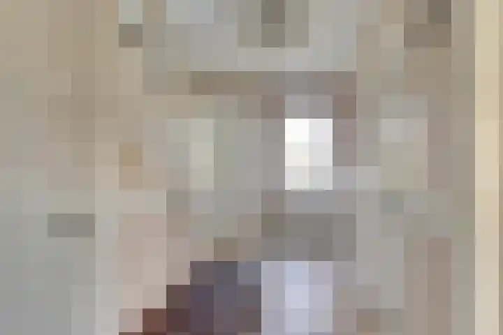 Zutphenseweg 112 Eefde thumbnail 11