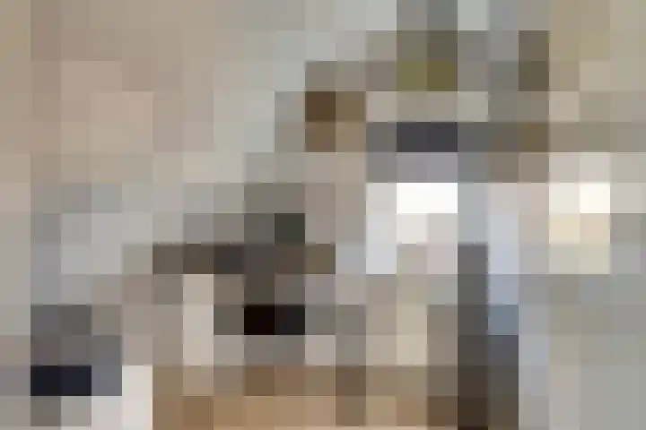 Zutphenseweg 112 Eefde thumbnail 16
