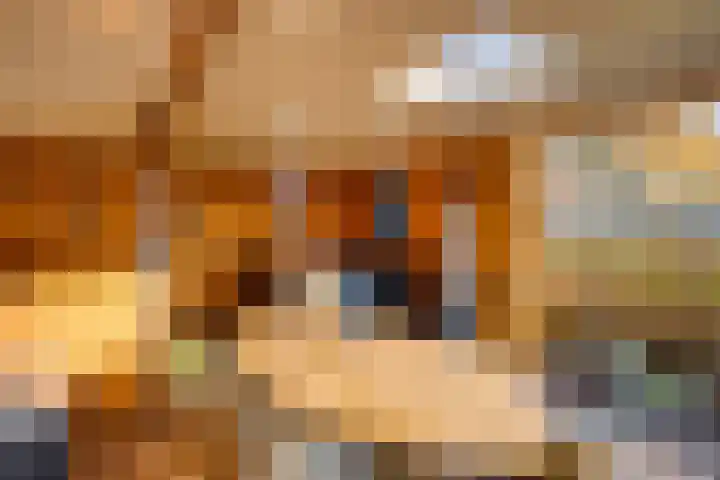 Zutphenseweg 112 Eefde thumbnail 27