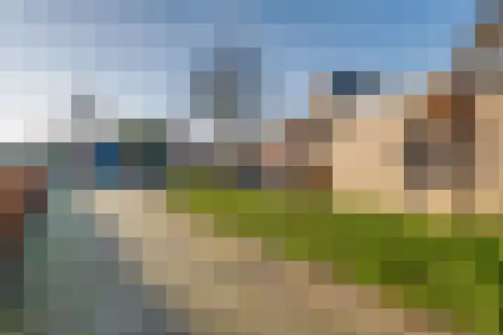 Zutphenseweg 112 Eefde thumbnail 28