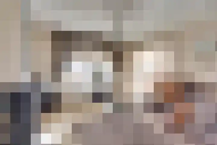 Zutphenseweg 112 Eefde thumbnail 4