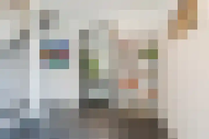 Zuwe 54 Bodegraven thumbnail 11