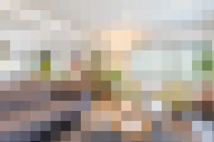 Zuwe 54 Bodegraven thumbnail 17