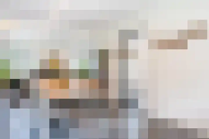 Zuwe 54 Bodegraven thumbnail 20