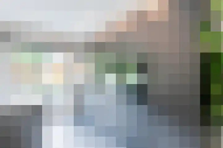 Zuwe 54 Bodegraven thumbnail 25